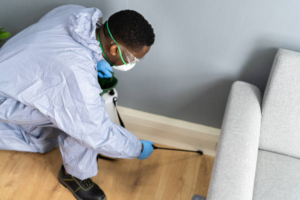 Pest Control for Hotels in East Niles, CA